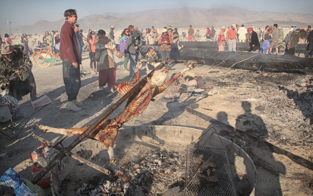 The day after the burn